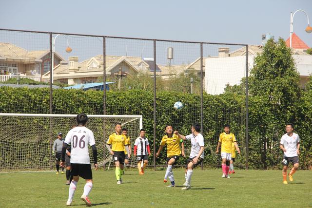 约基奇大三双掘金负骑士 独行侠送奇才16连败